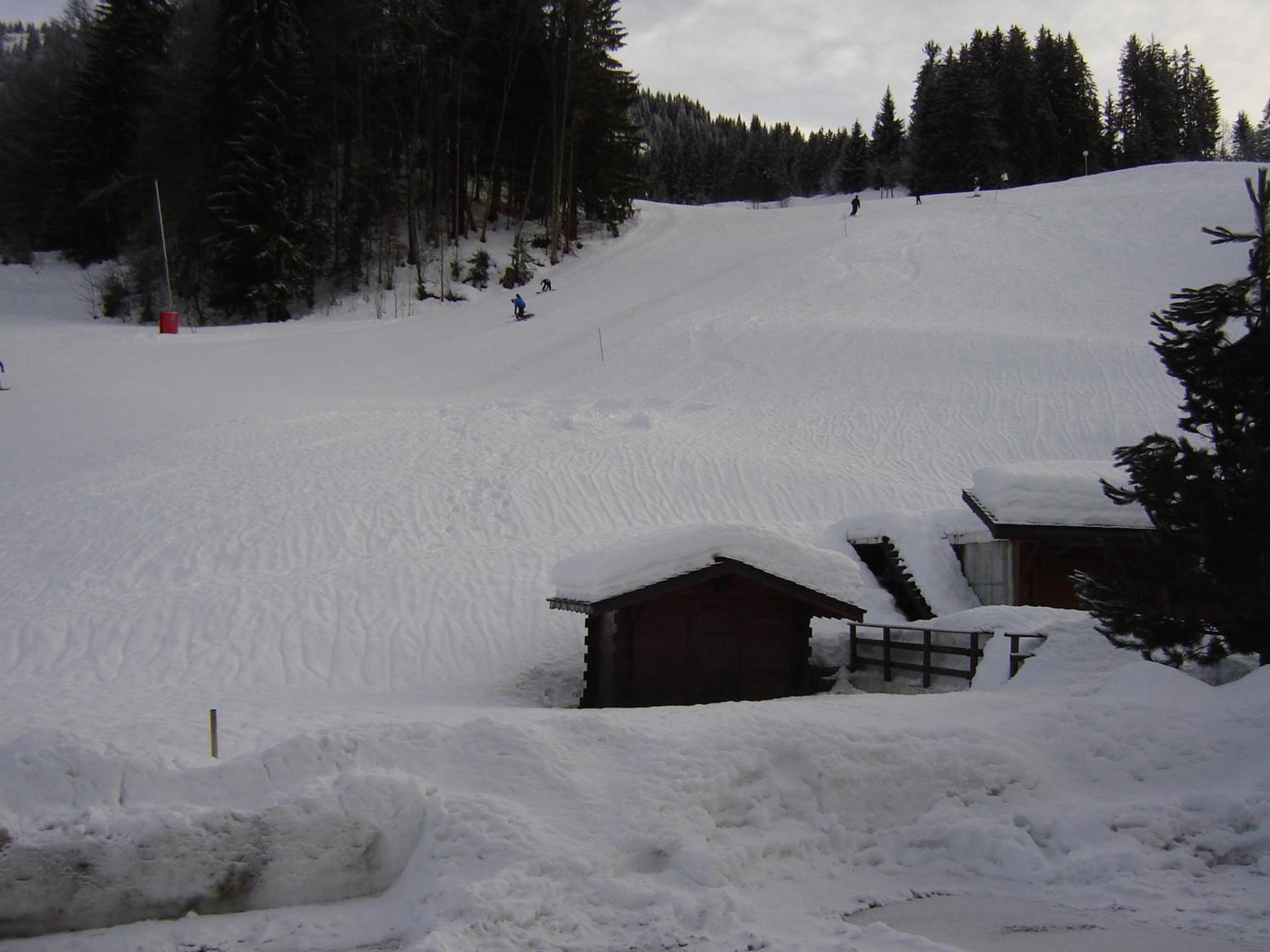 Hotel Les Bernards Praz-sur-Arly Eksteriør billede