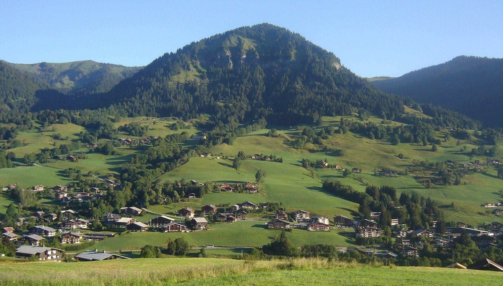 Hotel Les Bernards Praz-sur-Arly Eksteriør billede